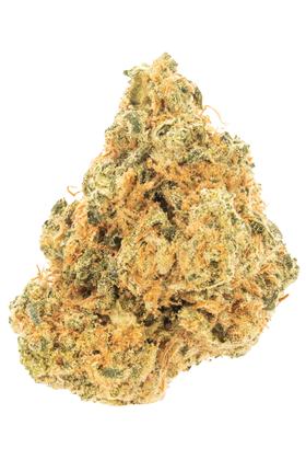 Glueball - Hybrid Cannabis Strain