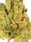 Gluestick Hybrid Cannabis Strain Thumbnail