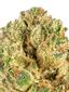 GMO x Jungle Cake #4 Hybrid Cannabis Strain Thumbnail