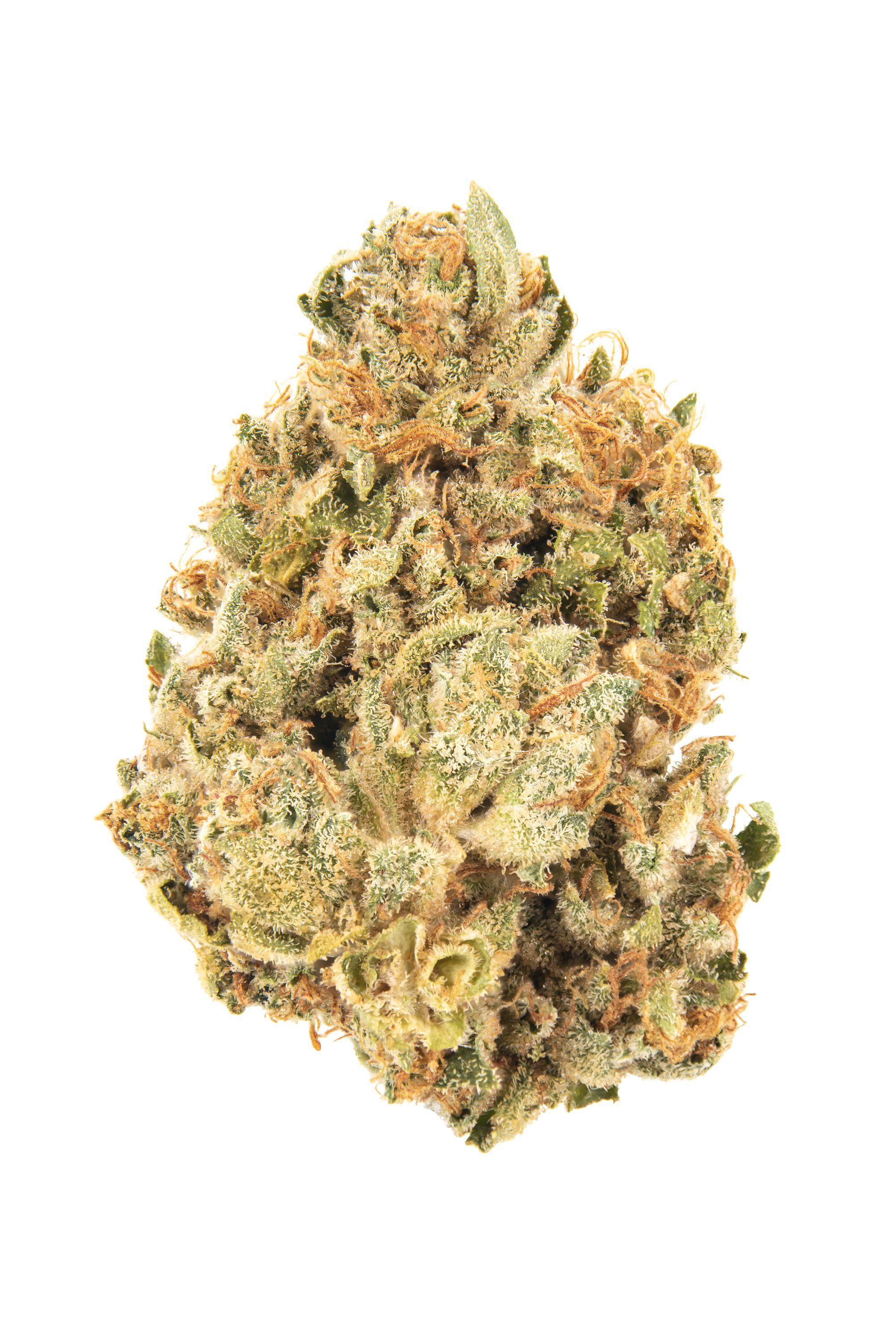 Flak Jacket Cannabis Strain Bud