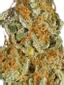 Godberry Indica Cannabis Strain Thumbnail