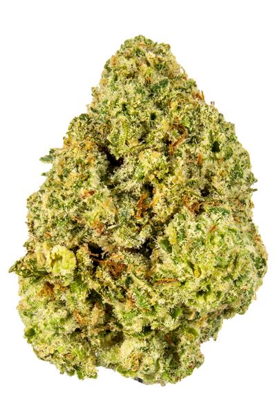 Godzilla - Indica Cannabis Strain