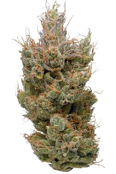 Goji OG - Hybrid Cannabis Strain