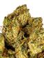 Gold Leaf OG Hybrid Cannabis Strain Thumbnail
