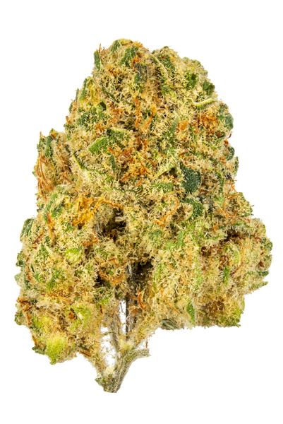 Golden Dream - Hybrid Cannabis Strain