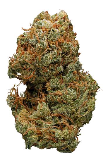 Golden Pineapple - Hybrid Cannabis Strain
