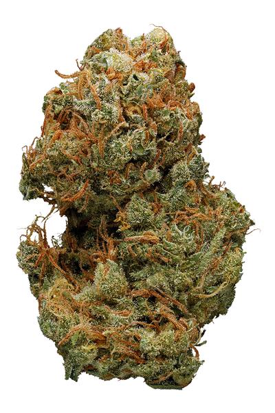 Golden Pineapple - Híbrido Cannabis Strain
