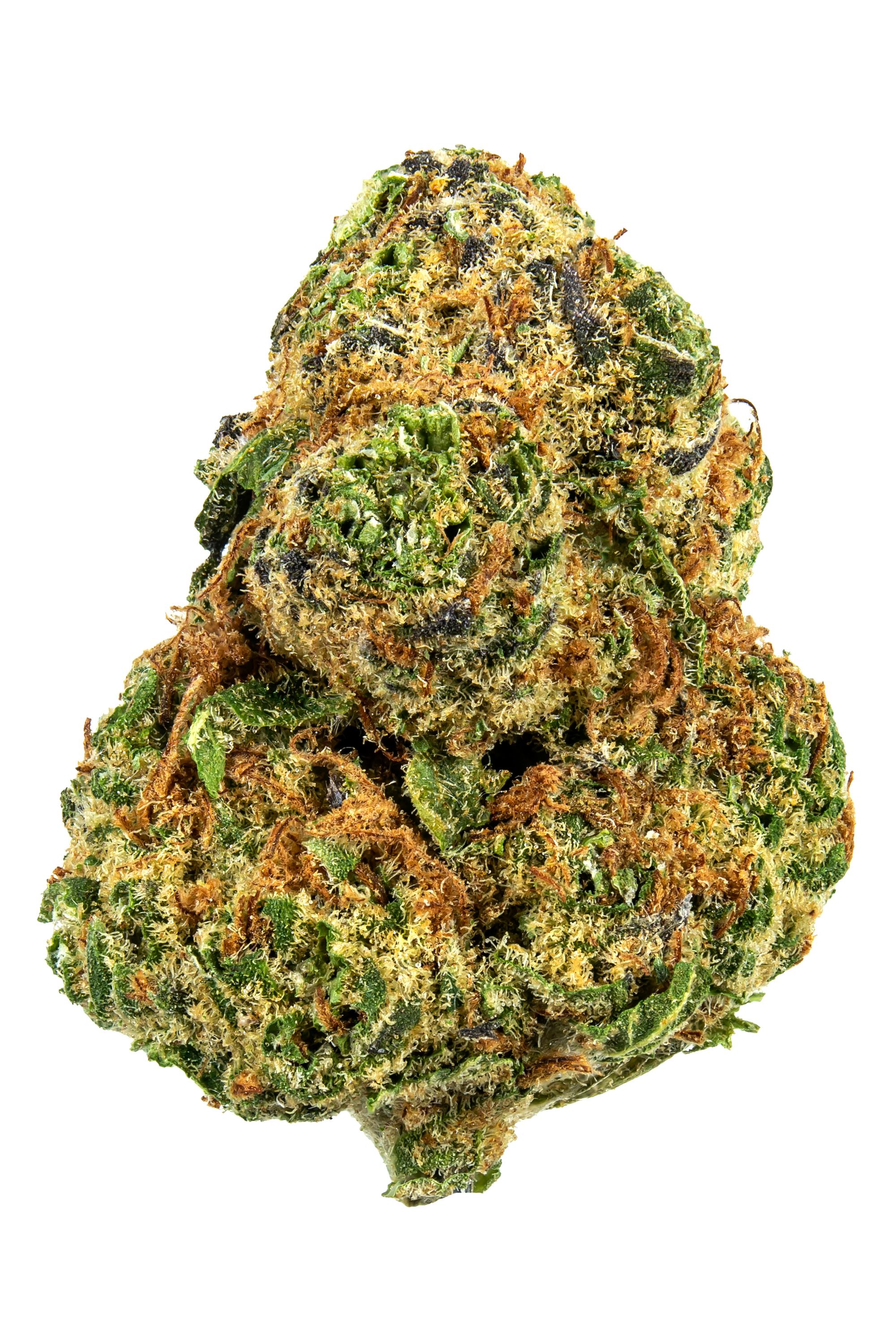 Goober - Hybrid Cannabis Strain