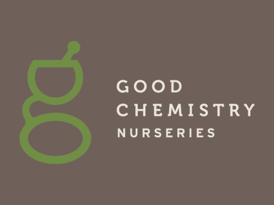 Good Chemistry - Logo