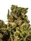 Gorilla Goo Hybrid Cannabis Strain Thumbnail