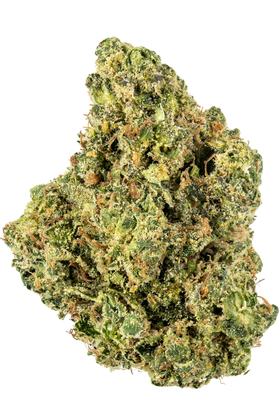 Gorilla Kush - 混合物 Cannabis Strain
