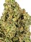 Gorilla Kush Hybrid Cannabis Strain Thumbnail