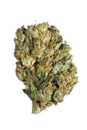 Grand Hindu - Hybrid Cannabis Strain