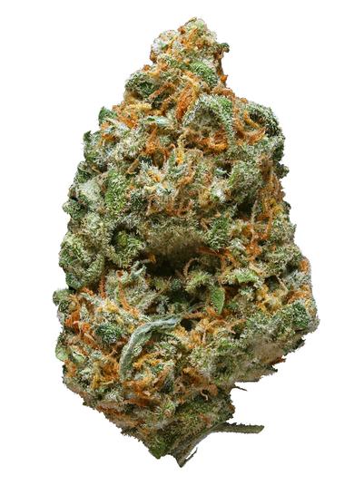 Grand Hustle - Híbrida Cannabis Strain