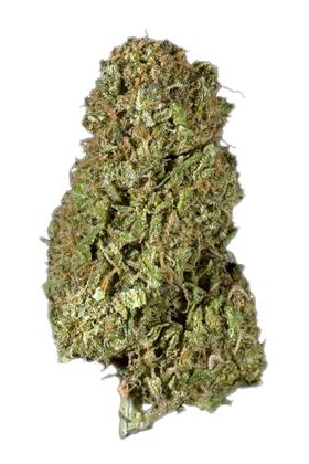 Grandaddy Urkle - Hybrid Cannabis Strain