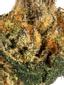 Grape Jelly Hybrid Cannabis Strain Thumbnail