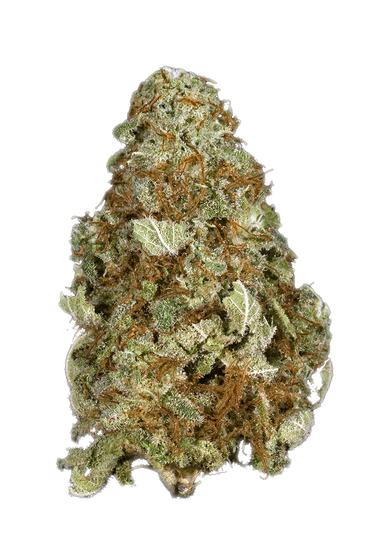 Grape Kush - Hybrid Cannabis Strain