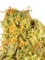 Grape Marmalade Hybrid Cannabis Strain Thumbnail