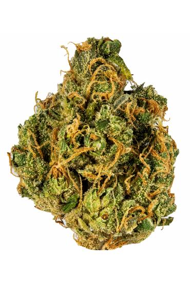 Grape Monster - Sativa Cannabis Strain