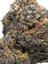 Grape Skunk Hybrid Cannabis Strain Thumbnail