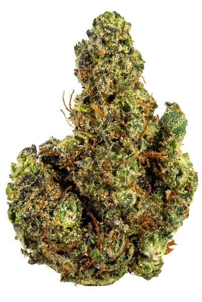 Grape Sorbet - Hybrid Cannabis Strain