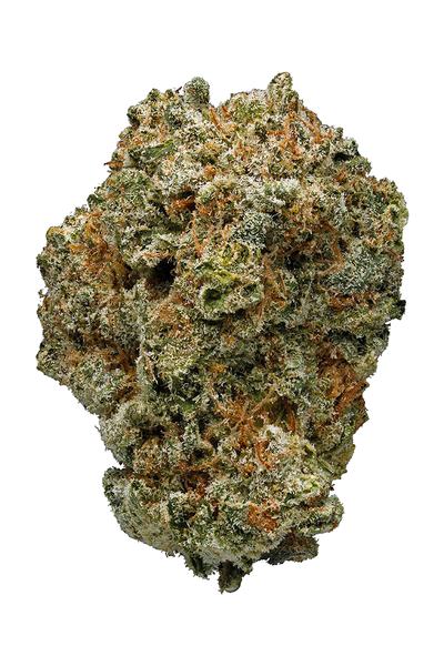 Grape Stomper - Hybrid Cannabis Strain