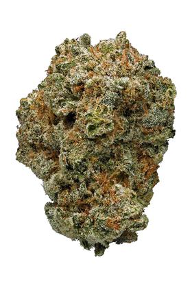 Grape Stomper - 混合物 Cannabis Strain