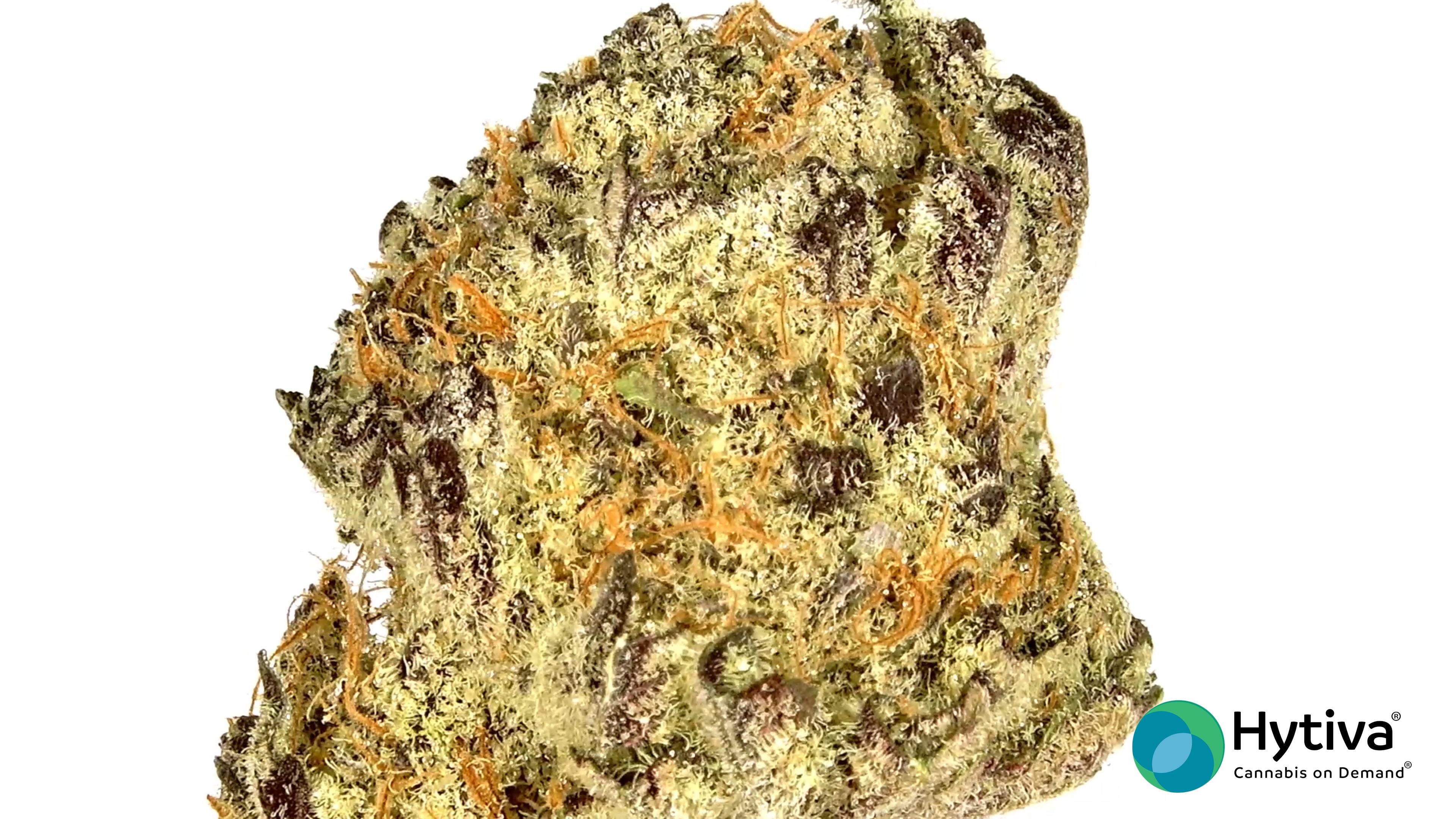 Grape Z - Hybrid Strain