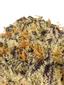 Grape Zkittlez Hybrid Cannabis Strain Thumbnail
