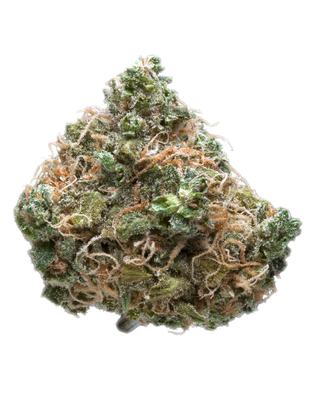 Grapefruit Diesel - Hybrid Cannabis Strain