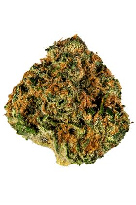 Grapefruit Durban - 混合物 Cannabis Strain