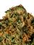 Grapefruit Durban Hybrid Cannabis Strain Thumbnail