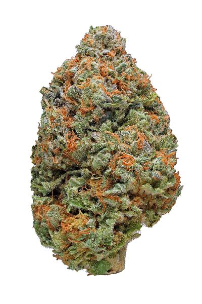 Grapefruit Kush - Гибрид Сорт каннабиса