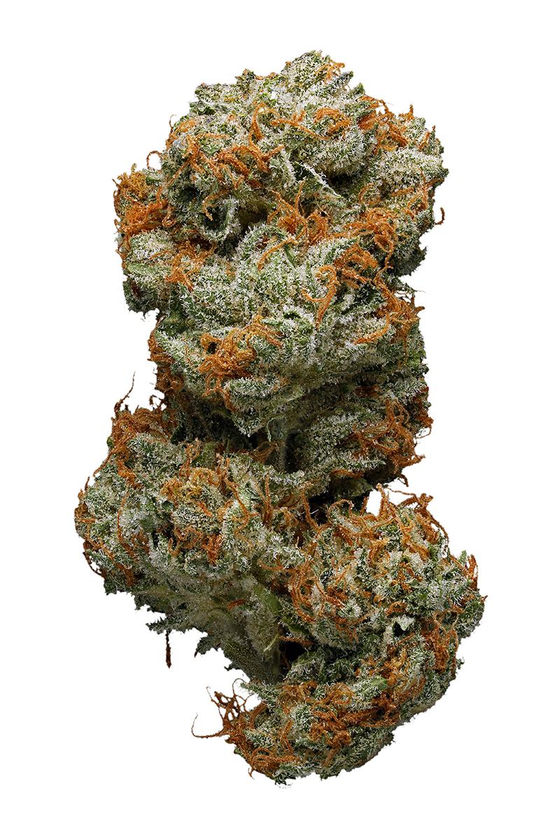 Blue Goo Strain - Indica Cannabis Review, CBD, THC : Hytiva
