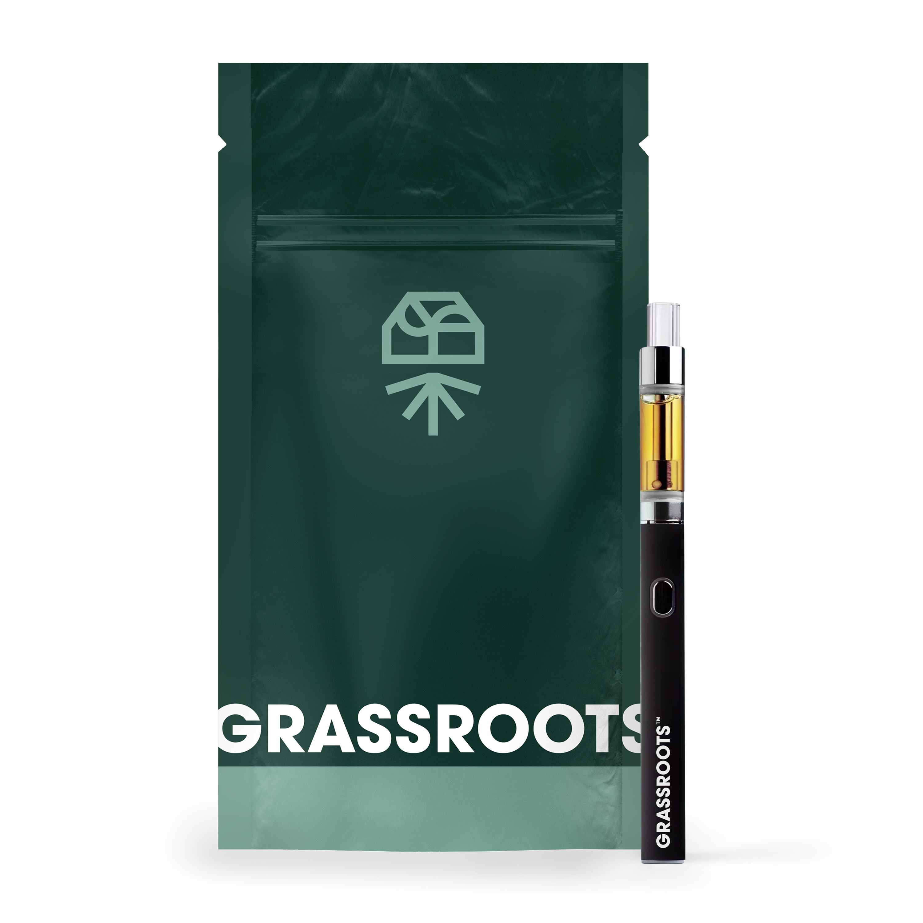 Vape Disposable 1g Product Image