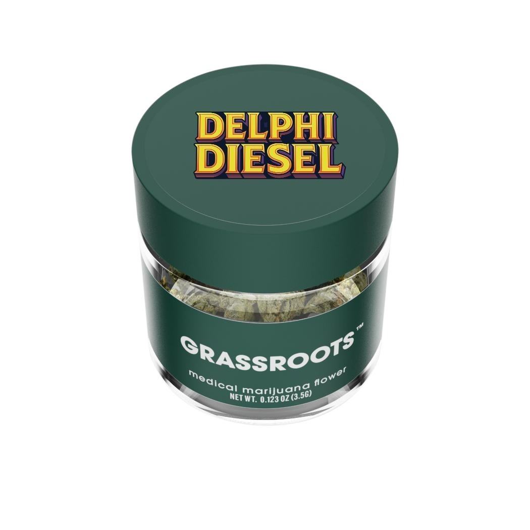 Delphi Diesel Product Image