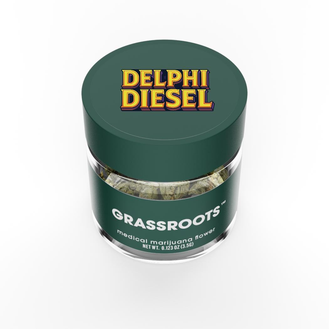 Delphi Diesel Product Image