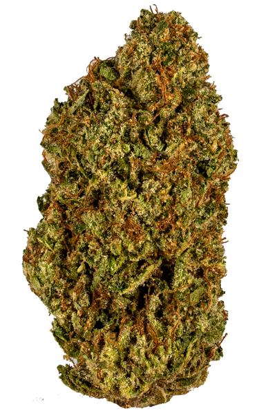 Grateful Glue - Híbrido Cannabis Strain