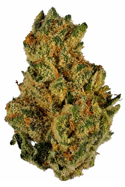 Grease Monkey - Híbrido Cannabis Strain