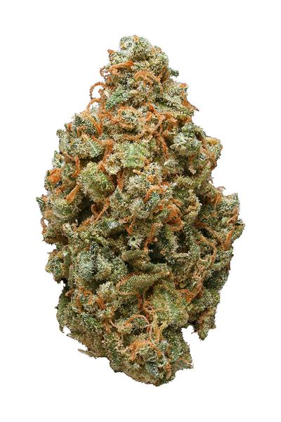 Great White Shark - Sativa Cannabis Strain