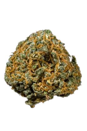 Green Hornet - Hybrid Cannabis Strain