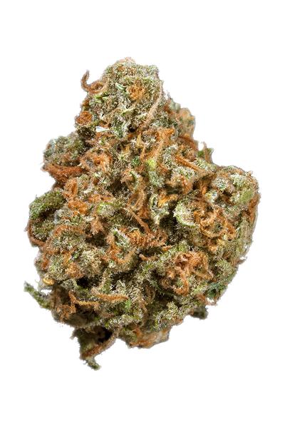 Green Kush - Híbrida Cannabis Strain