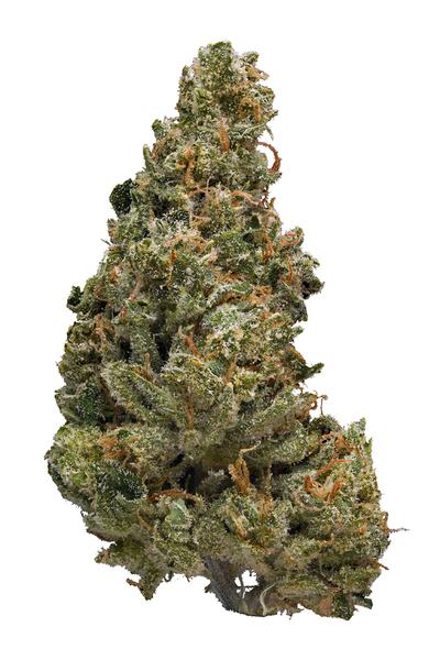 Green Poison - Indica Cannabis Strain