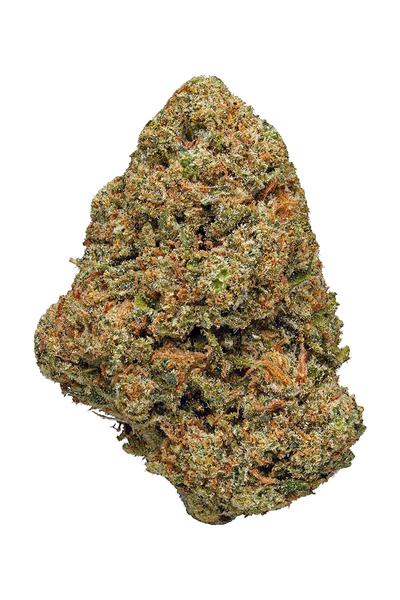 Green Queen - Híbrida Cannabis Strain