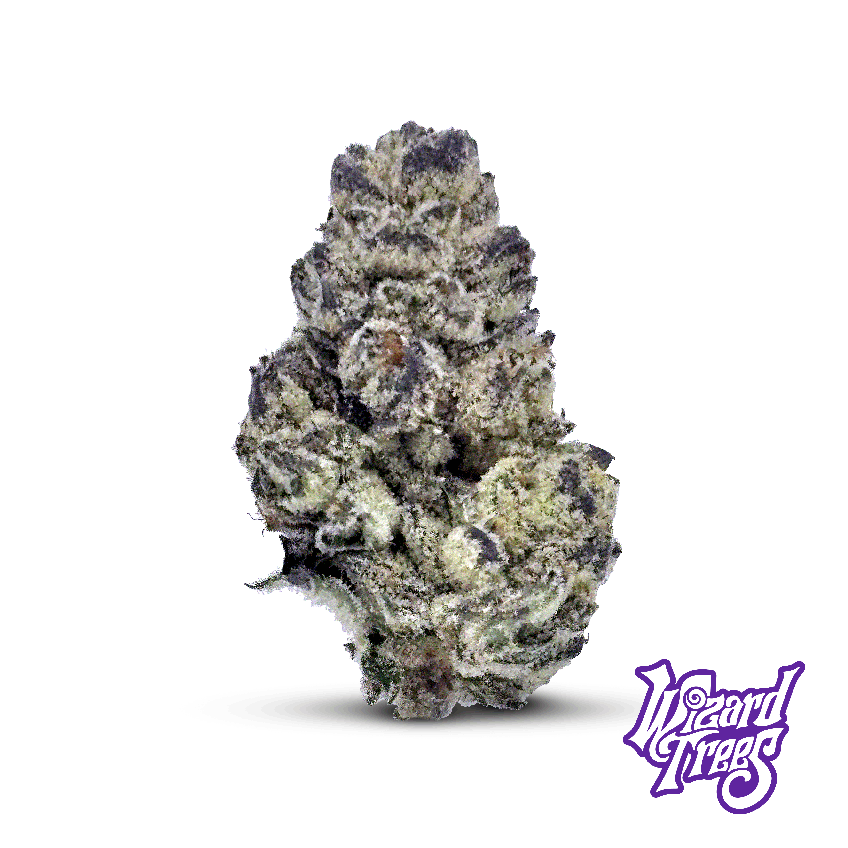 Gridlock Flower Product Image