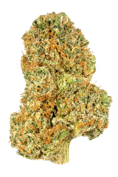 Grimmdica - Híbrido Cannabis Strain
