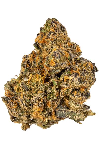 GSC OGKB - 混合物 Cannabis Strain