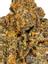 GSC OGKB Hybrid Cannabis Strain Thumbnail