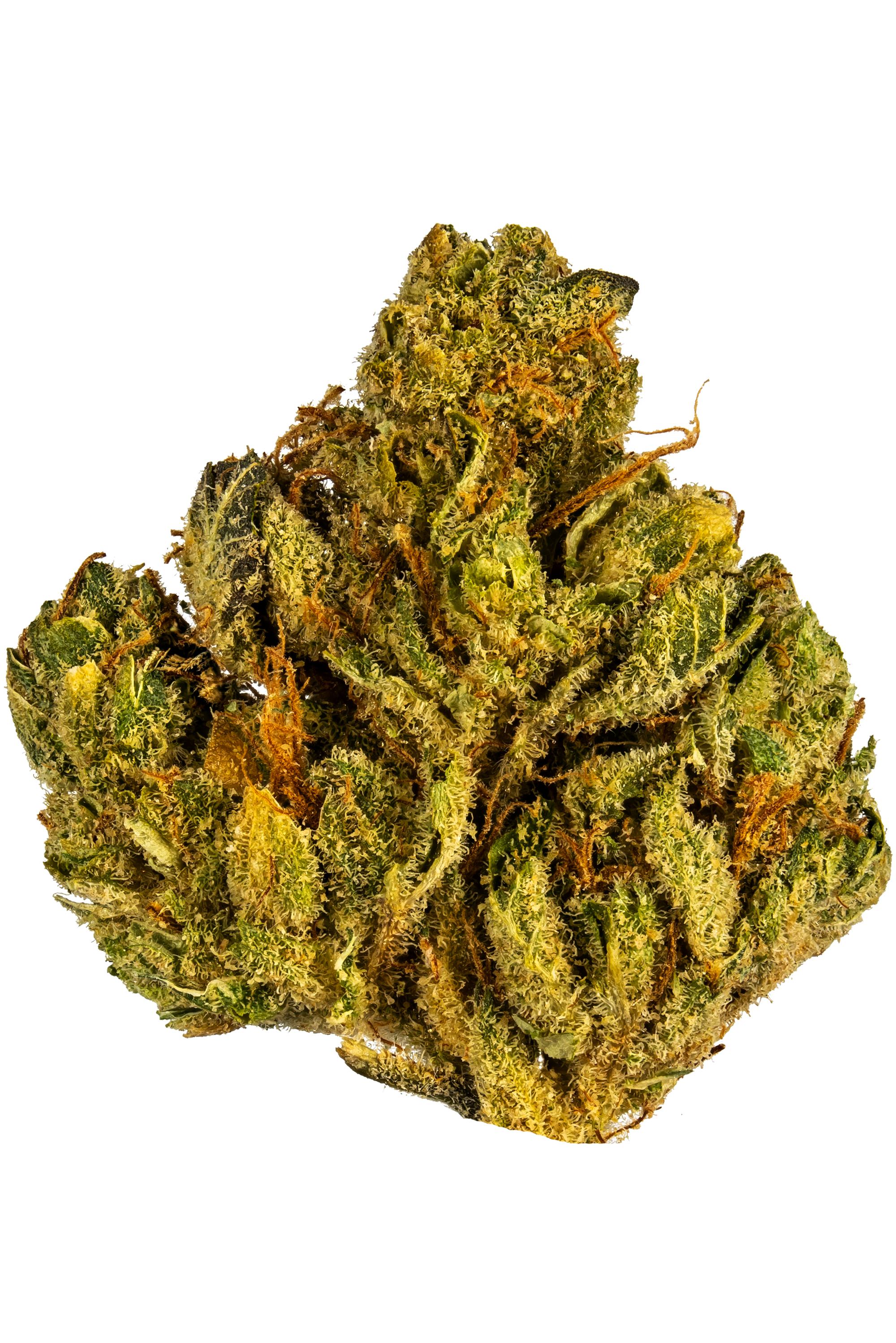 Stardawg Guava Strain of Marijuana - Weed - Cannabis - Herb - Herb