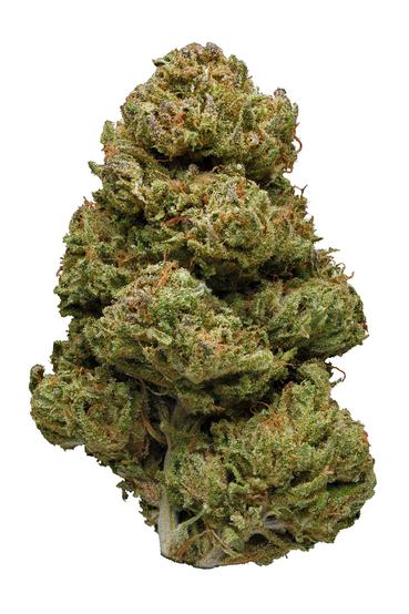 Guerilla Meds - Hybrid Cannabis Strain